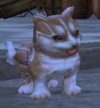 dog_brown_0.JPG