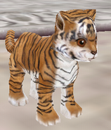 SC_0226b.png SC_0226b.png