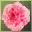 i1d2lt_v07_03t1d5.png
