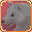 アイコン一覧/ペット/i1m4ber_v2t2.png