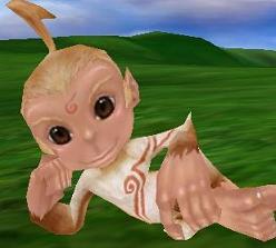 6dsdd.JPG
