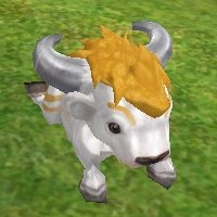 usi03.jpg
