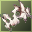 i1d2ht_v07_08t1.png