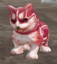 dog_red_0.JPG
