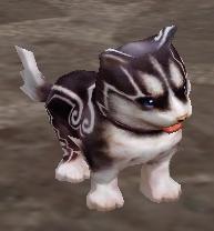 dog_black_0.JPG